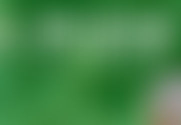 Montreal en Arts -Plaza Show