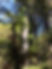 IMG_0069.jpeg