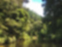 IMG_2577.jpeg