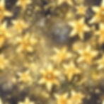 Small, yellow, star shaped flowers in a fantasy setting_edited.jpg