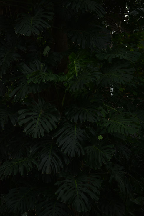 JPG_0021.JPG
