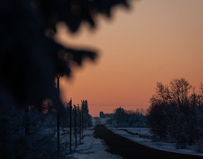 DSC_0175.jpg