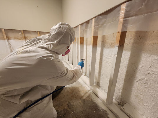 How Much Does Professional Mould Remediation Cost in Winnipeg Manitoba?