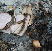 Charred Contents.jpg