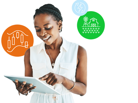 ACCIONES DE MATERIAS PRIMASGUÍA DEL INVERSOR