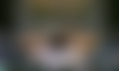 El Consejo de Seguridad de la ONU aprueba el plan de paz de Trump para Gaza