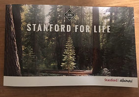 FLI Handbook.jpg