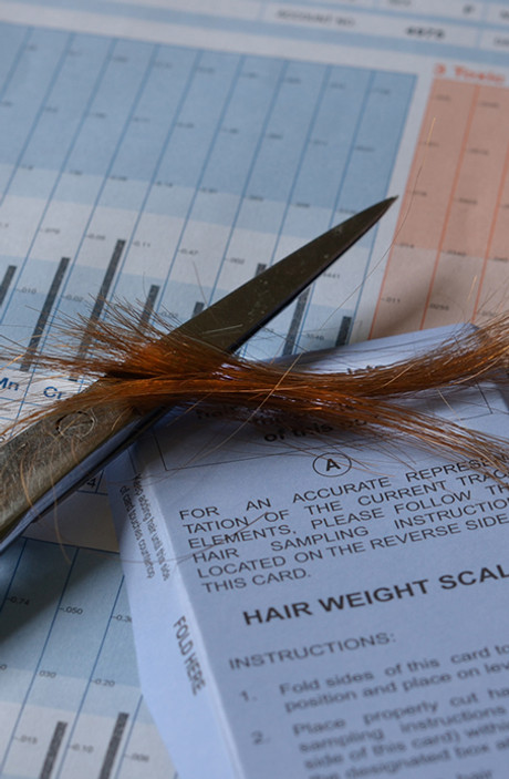 hair mineral kit.JPG