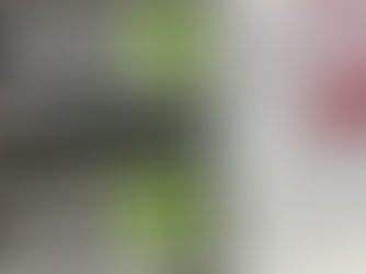 Unsere Onigiri: Ein deutlicher Mehrwert für Dich und unsere Umwelt