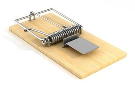 mouse trap.JPG