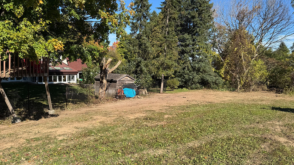 Brush Clearing After