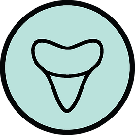 circle - tooth.png