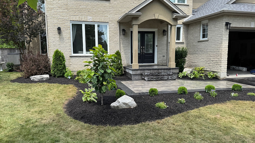 Walkway, Veneer and Garden 1