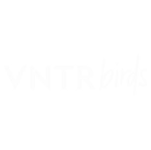 VNTRbirds-logo-white.png