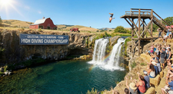 Farm High Diving