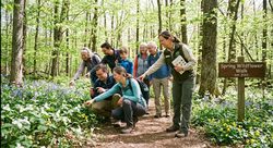 Spring Wildflower Walk