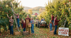Apple Harvest Experience