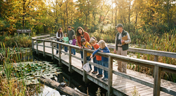 Pond Nature Walk