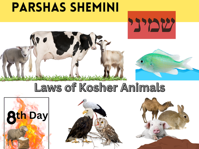 Parshas Shemini