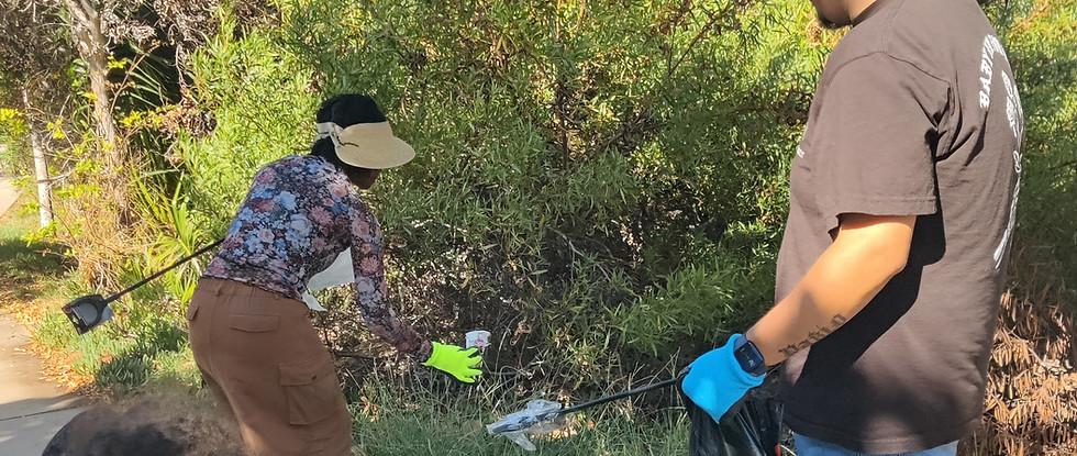 trash pick up inthe community