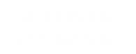 SOI Asset 5.png