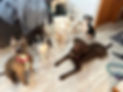 IMG_0645.jpeg