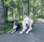 IMG_3170.jpeg
