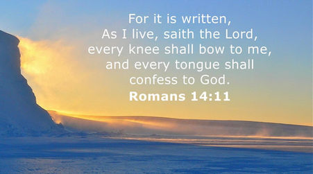 Romans 14 Study Notes