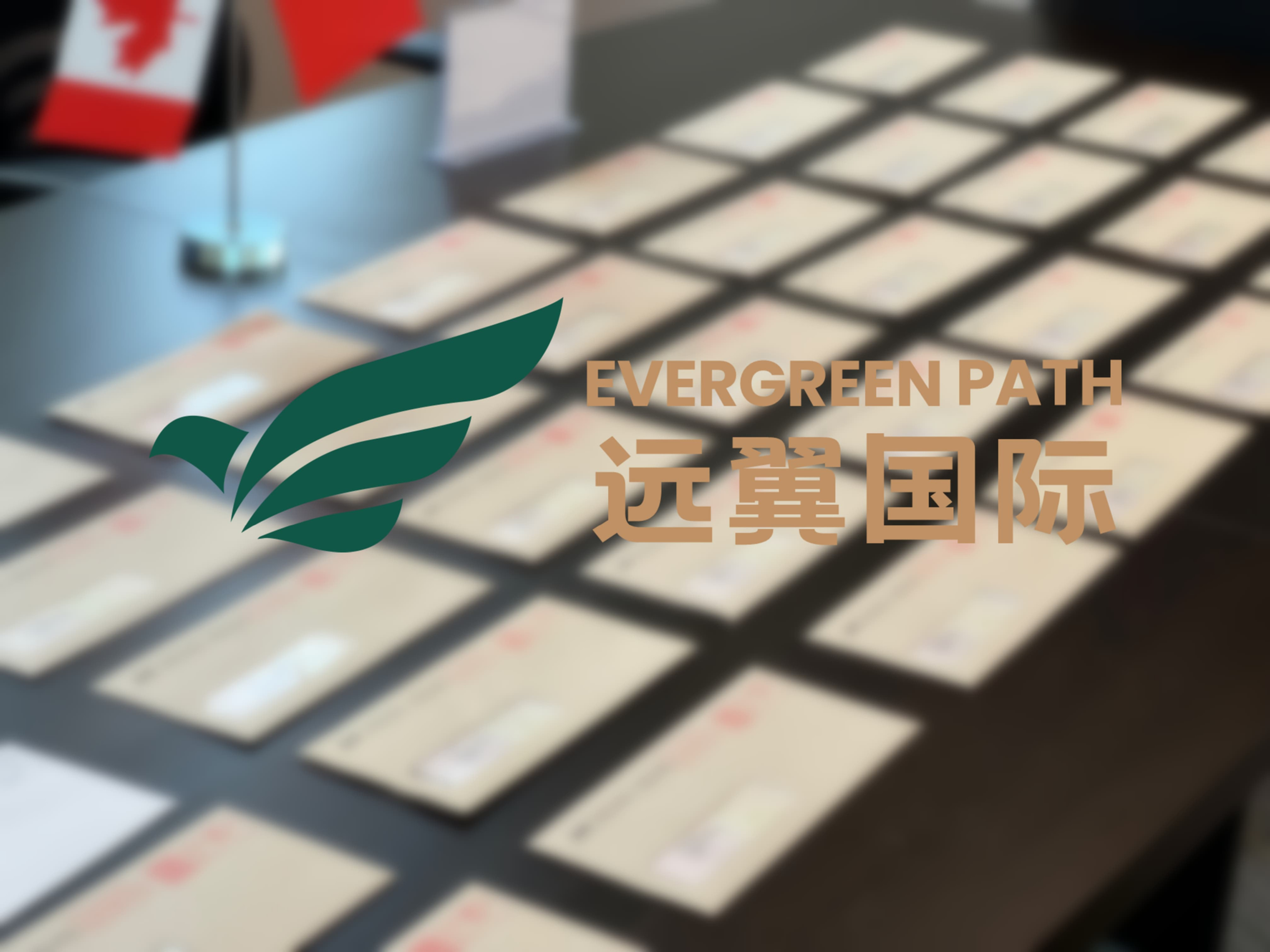 远翼国际 | 移民打分自测 | 联邦快速通道抽签数据可视化