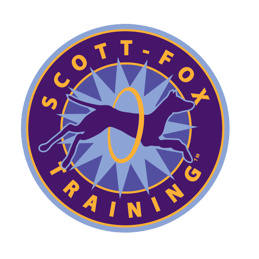 Scott-Fox Pet Dog Training