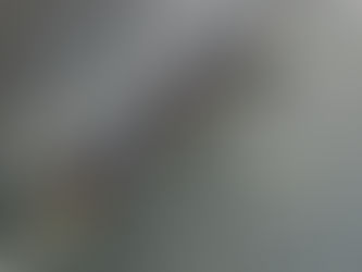 Rudern - BRC Junioren gewinnen erneut den Mirabaud BaselHead