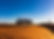 camels_Group of travelers_desert.jpg