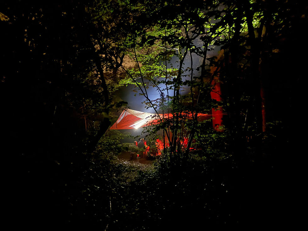 Soundcamp 2026 - Listening to the woods