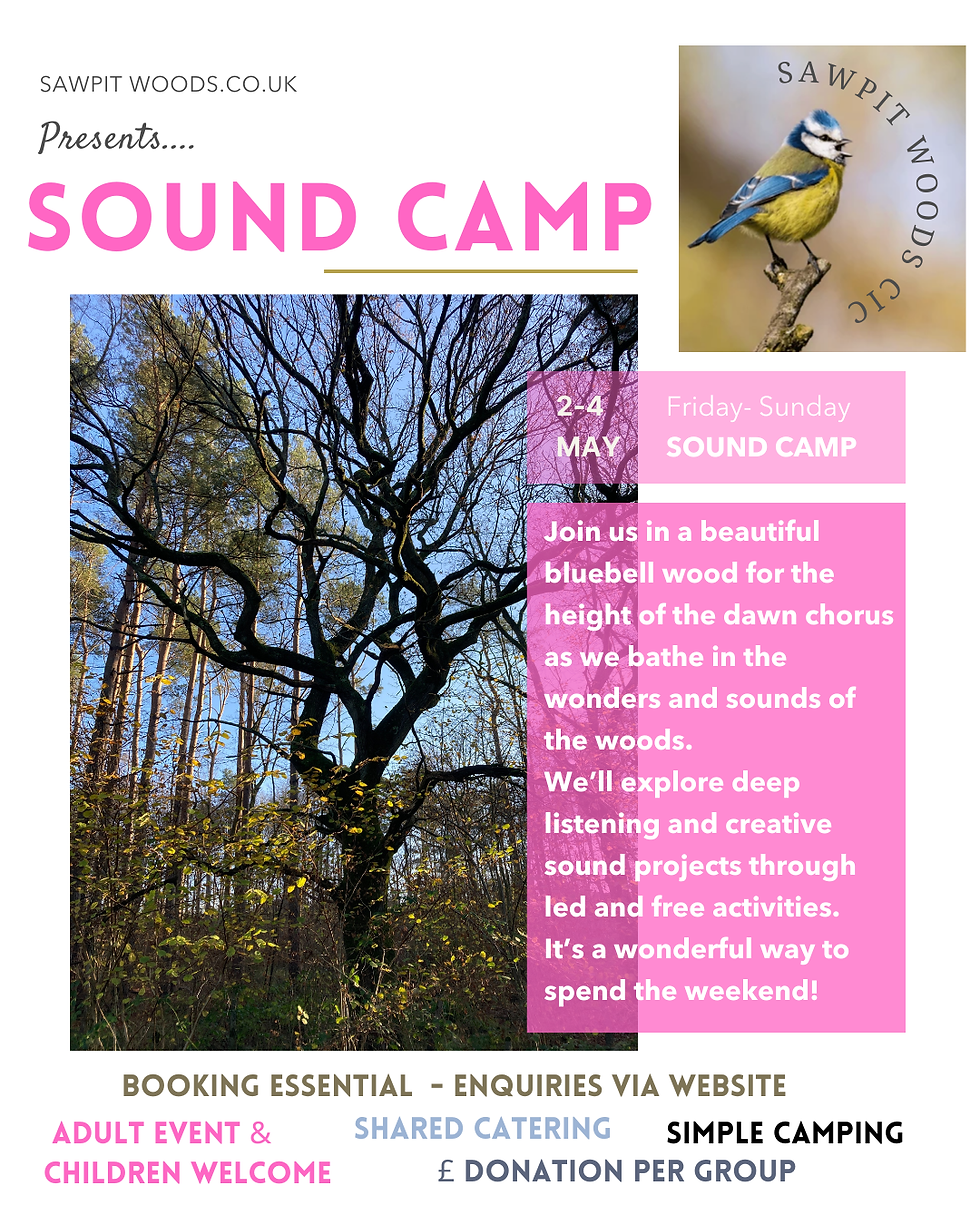 SOUND CAMP