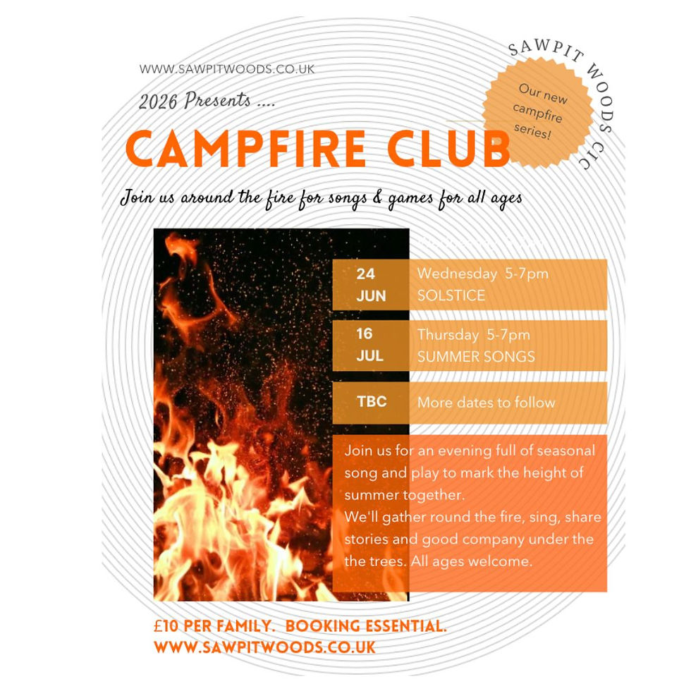 Summer Campfire - July 16th