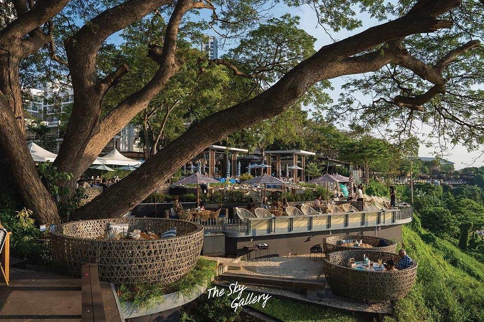 Cliffside open-air restaurant under a huge tree, with diners on woven terraces; The Sky Gallery text below.