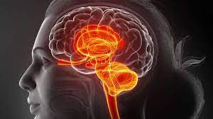 Stimulating your Vagus Nerve