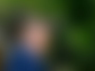 THE AMERICAN TAXPAYER SMASH-AND-GRAB