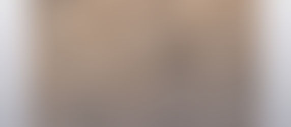 December/January Newsletter Out Now