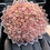 Thumbnail: Classic Bouquet
