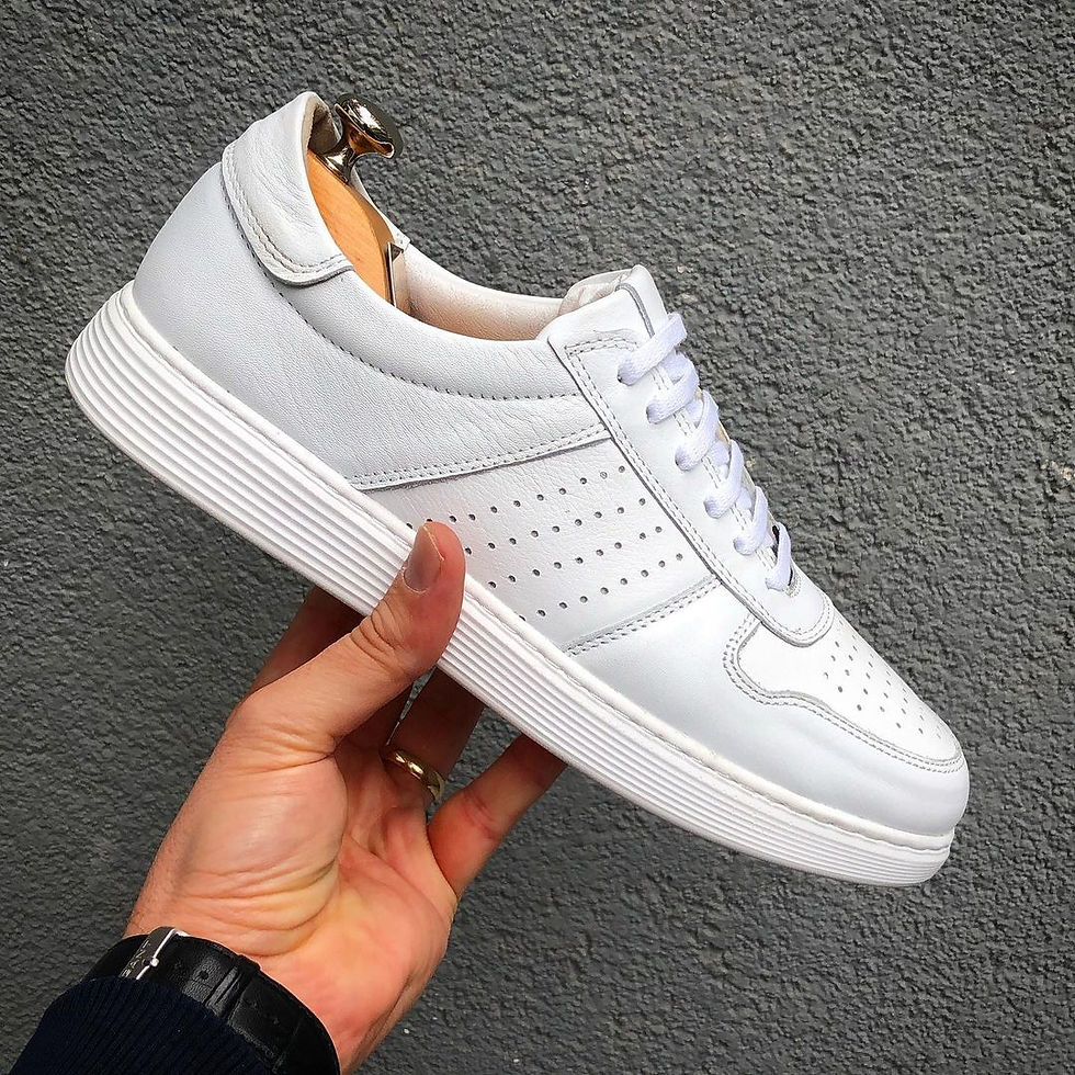 Миниатюра: Martinetto WH