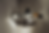 6T9A6786_edited_edited.png