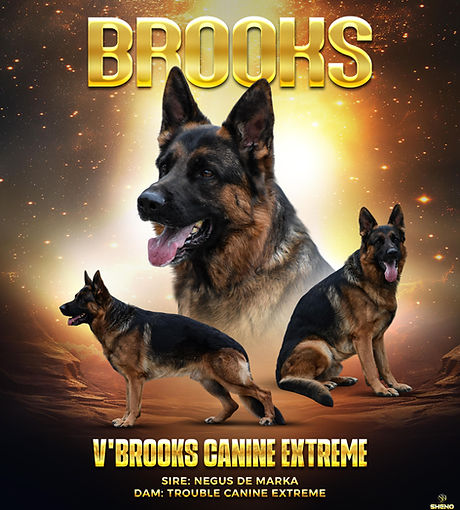 brooks poster.jpg