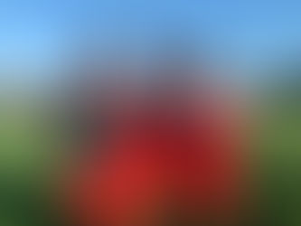 Inspirasi Personil Garuda Select