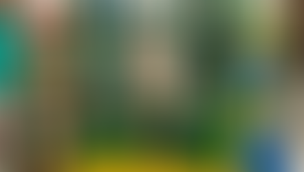 Danville Community High School Cultural Fair!