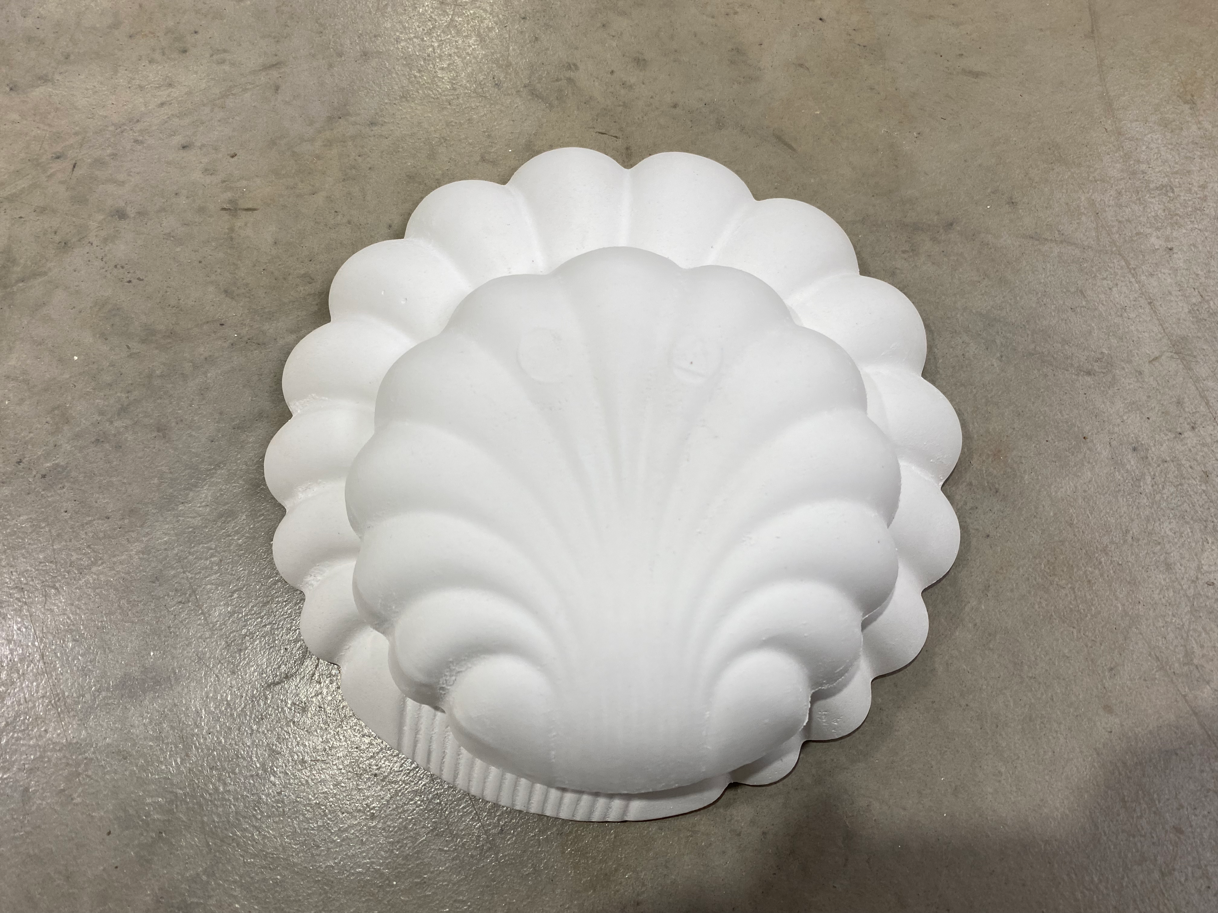 Dupla molde Concha Gesso