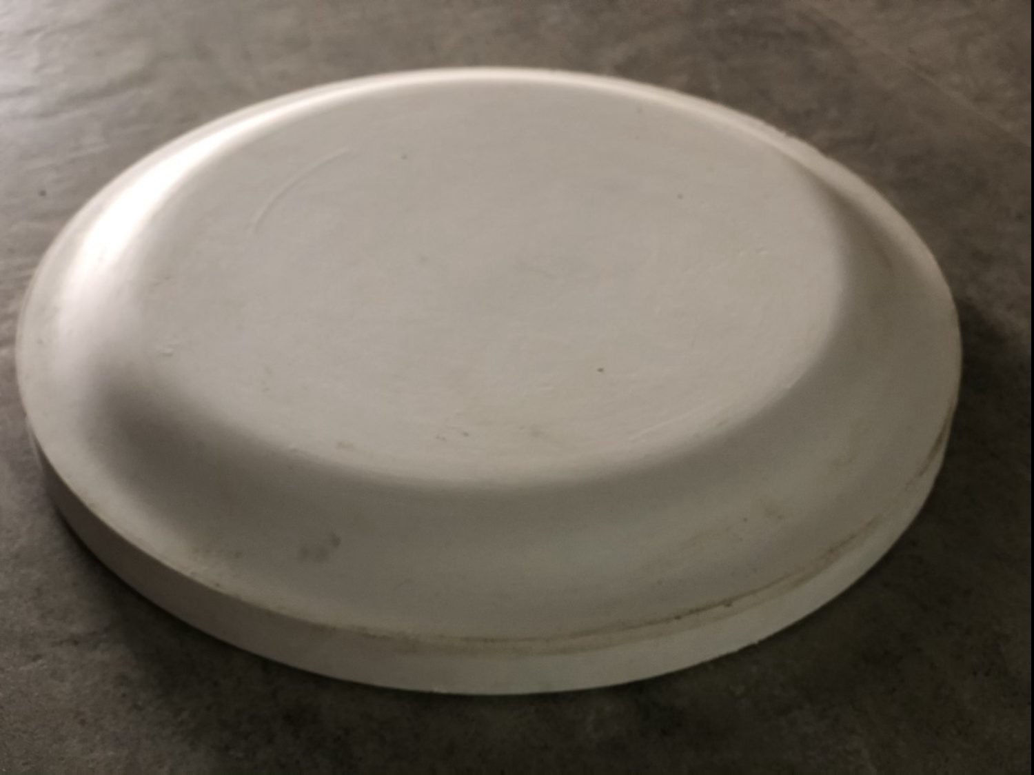 Molde de gesso prato