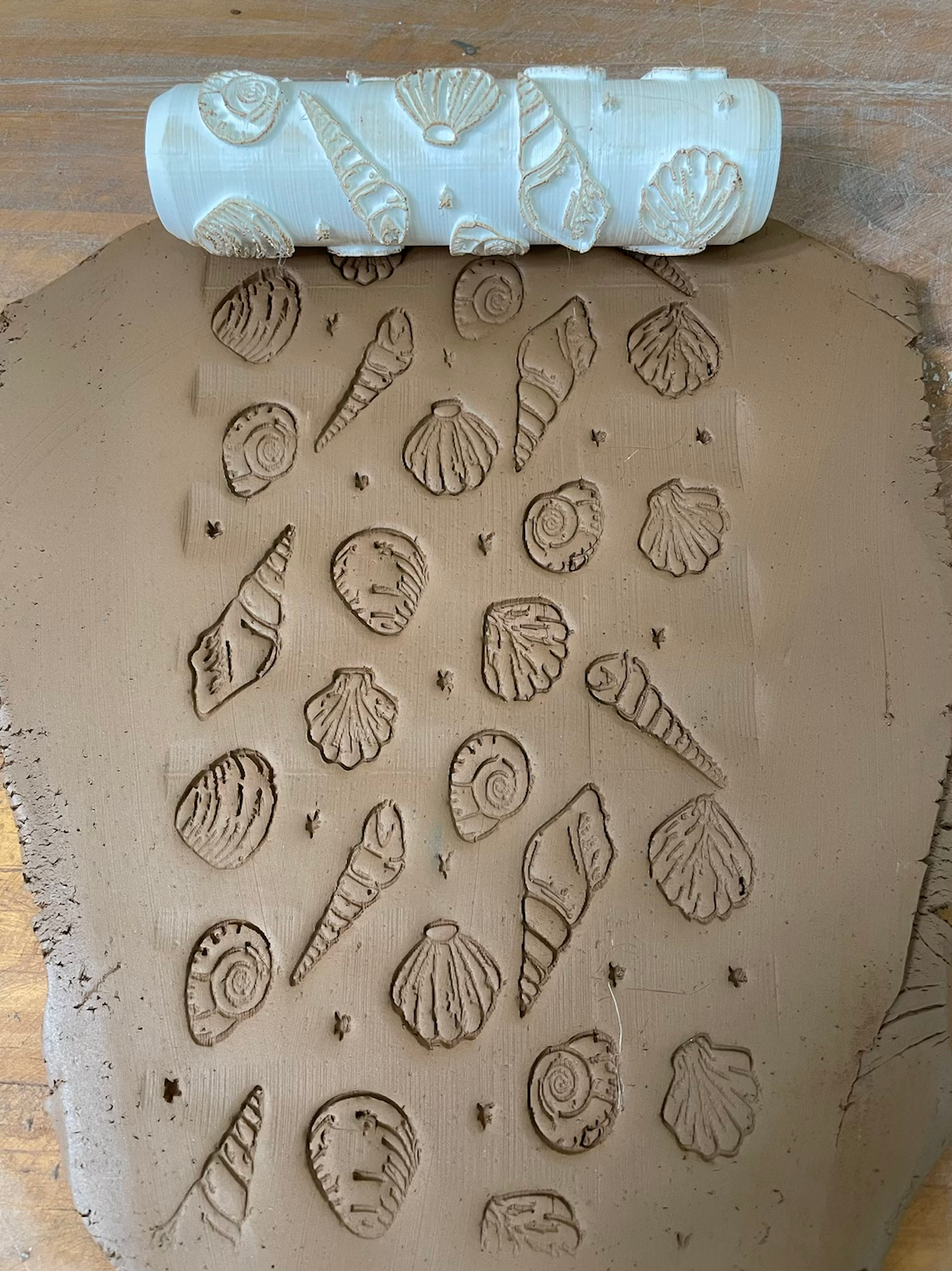 Rolo textura Conchas