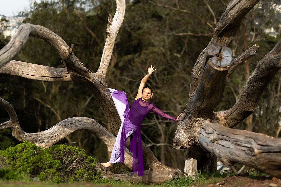 Nestled into the center of a fallen tree with petrified wood branches splayed out, Mili resembled a purple widow.