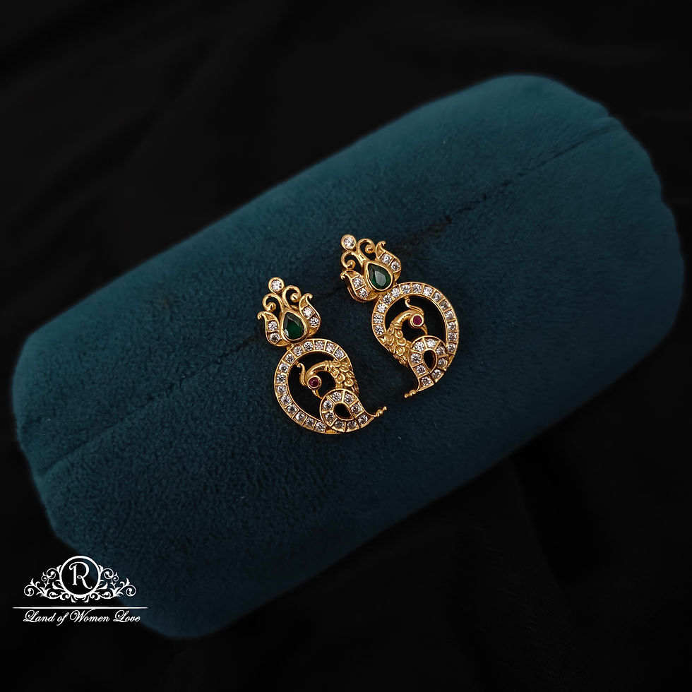 92.5 silver simple and Cute earrings - RCBG065